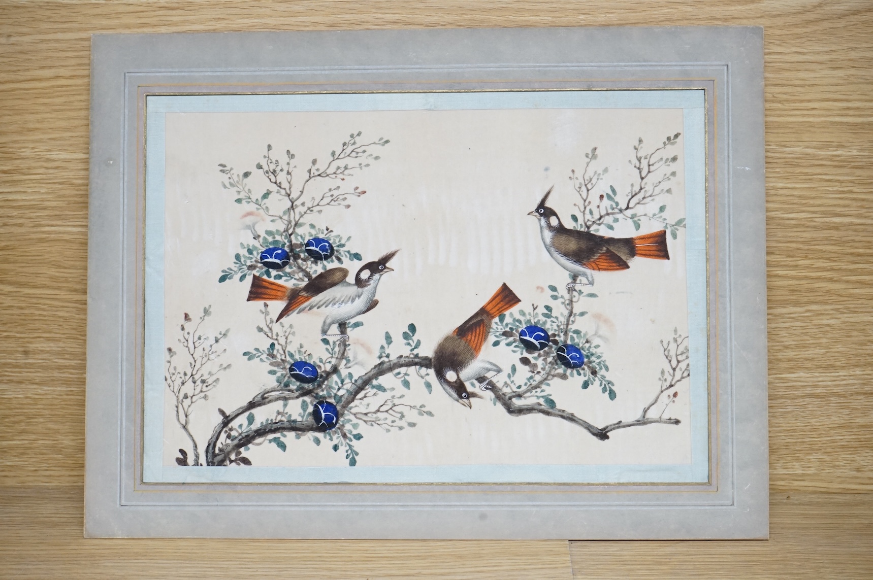 Chinese School, Birds of paradise, pair of pith paper paintings, mounted, 19 x 28cm, unframed